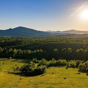 Photo #56 of 695 LAUREL RD, FABER, VA 58.6 acres