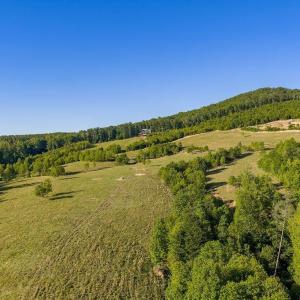 Photo #29 of 695 LAUREL RD, FABER, VA 58.6 acres