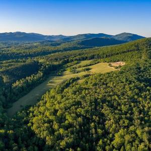 Photo #41 of 695 LAUREL RD, FABER, VA 58.6 acres