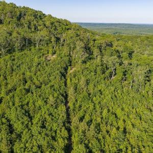 Photo #32 of 695 LAUREL RD, FABER, VA 58.6 acres