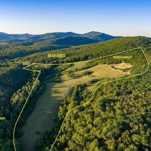 Photo #13 of 695 LAUREL RD, FABER, VA 58.6 acres