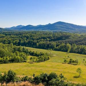 Photo #54 of 695 LAUREL RD, FABER, VA 58.6 acres