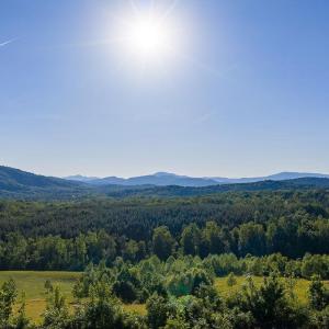 Photo #4 of 695 LAUREL RD, FABER, VA 58.6 acres