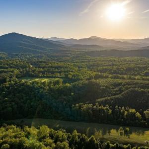 Photo #40 of 695 LAUREL RD, FABER, VA 58.6 acres