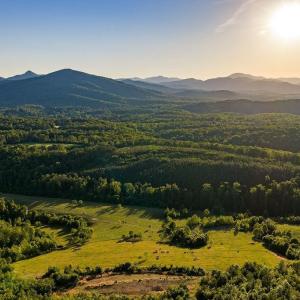 Photo #21 of 695 LAUREL RD, FABER, VA 58.6 acres
