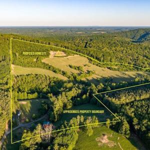 Photo #11 of 695 LAUREL RD, FABER, VA 58.6 acres