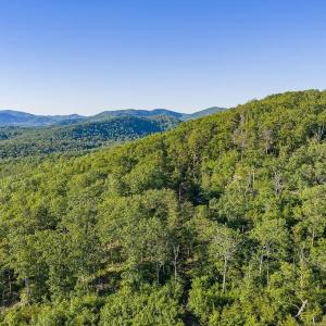 Photo #34 of 695 LAUREL RD, FABER, VA 58.6 acres