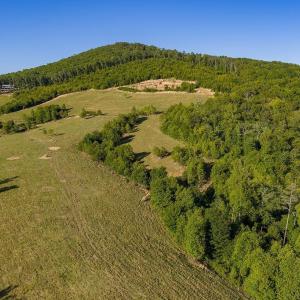 Photo #27 of 695 LAUREL RD, FABER, VA 58.6 acres