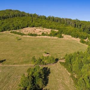 Photo #30 of 695 LAUREL RD, FABER, VA 58.6 acres