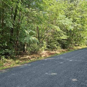 Photo #2 of 9Ac CHILDRESS RD, DILLWYN, VA 9.0 acres