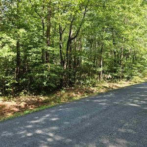 Photo #4 of 9Ac CHILDRESS RD, DILLWYN, VA 9.0 acres