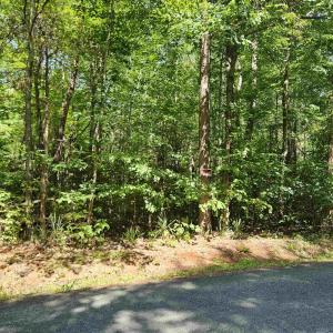 Photo #6 of 9Ac CHILDRESS RD, DILLWYN, VA 9.0 acres
