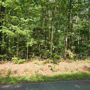 Photo #7 of 9Ac CHILDRESS RD, DILLWYN, VA 9.0 acres