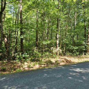 Photo #5 of 9Ac CHILDRESS RD, DILLWYN, VA 9.0 acres