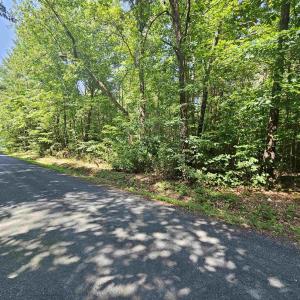 Photo #1 of 9Ac CHILDRESS RD, DILLWYN, VA 9.0 acres