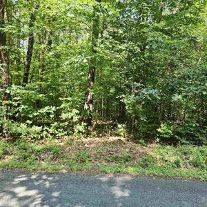 Photo #8 of 9Ac CHILDRESS RD, DILLWYN, VA 9.0 acres