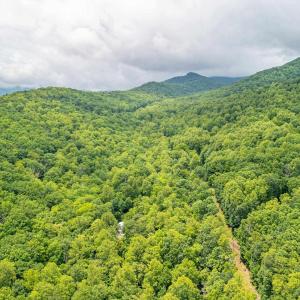 Photo #16 of 1509 SPRUCE CREEK LN, NELLYSFORD, VA 6.5 acres