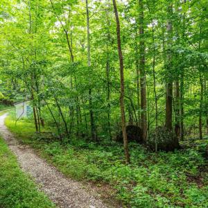 Photo #7 of 1509 SPRUCE CREEK LN, NELLYSFORD, VA 6.5 acres