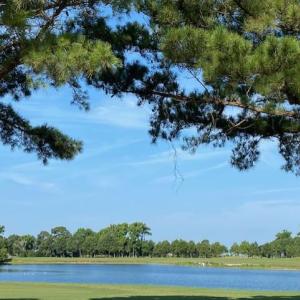 Photo #3 of 205 MUIRFIELD DRIVE, CAPE CHARLES, VA 0.2 acres