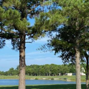 Photo #4 of 205 MUIRFIELD DRIVE, CAPE CHARLES, VA 0.2 acres