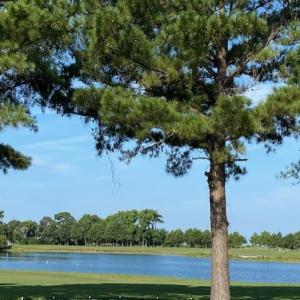 Photo #5 of 205 MUIRFIELD DRIVE, CAPE CHARLES, VA 0.2 acres