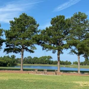 Photo #7 of 205 MUIRFIELD DRIVE, CAPE CHARLES, VA 0.2 acres