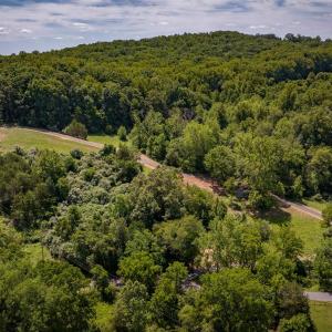 Photo #11 of TM 39-31&33b THRIFT RD, MADISON, VA 42.0 acres