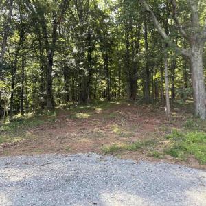 Photo #10 of TM 39-31&33b THRIFT RD, MADISON, VA 42.0 acres