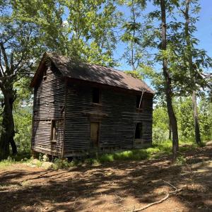 Photo #8 of TM 39-31&33b THRIFT RD, MADISON, VA 42.0 acres