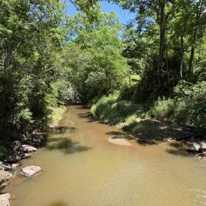 Photo #9 of TM 39-31&33b THRIFT RD, MADISON, VA 42.0 acres
