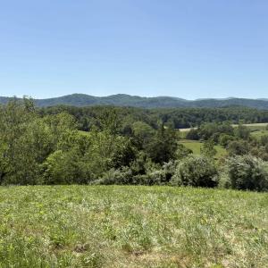 Photo #3 of TM 39-31&33b THRIFT RD, MADISON, VA 42.0 acres