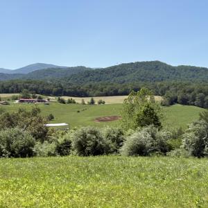 Photo #4 of TM 39-31&33b THRIFT RD, MADISON, VA 42.0 acres