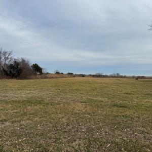 Photo #2 of Lot 6 ASSAWOMAN DR, MODESTOWN, VA 2.7 acres