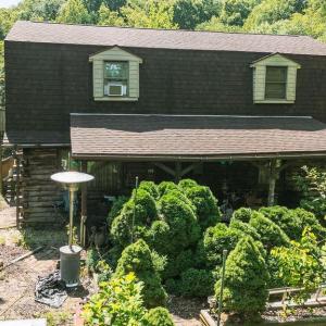 Photo #13 of 532 MEGAN LN, SHIPMAN, VA 2.8 acres