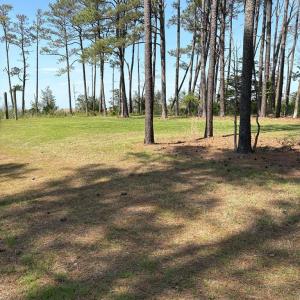 Photo #16 of 21302 WISE POINT LN, ONANCOCK, VA 22.4 acres