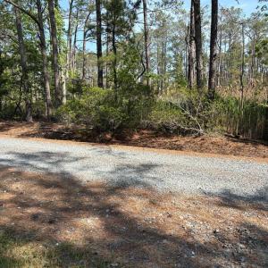 Photo #21 of 21302 WISE POINT LN, ONANCOCK, VA 22.4 acres