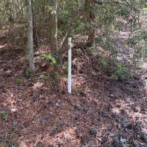 Photo #22 of 21302 WISE POINT LN, ONANCOCK, VA 22.4 acres