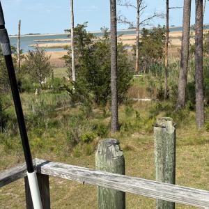 Photo #3 of 21302 WISE POINT LN, ONANCOCK, VA 22.4 acres