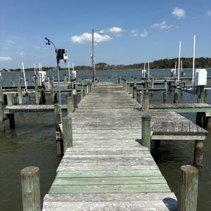 Photo #7 of 21302 WISE POINT LN, ONANCOCK, VA 22.4 acres