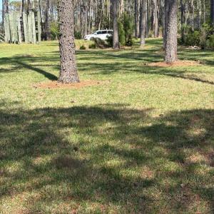 Corner view towards pilings