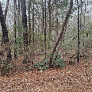 Photo #2 of LOT 25 JACOBUS CREEK RD, MACHIPONGO, VA 1.5 acres