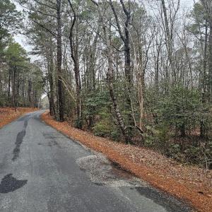 Photo #3 of LOT 25 JACOBUS CREEK RD, MACHIPONGO, VA 1.5 acres