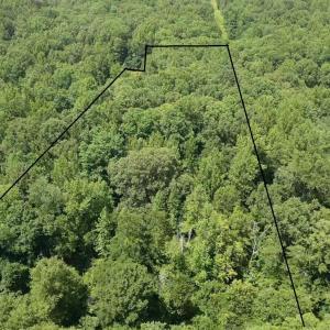 Photo #5 of BAMBI CT, BEAVERDAM, VA 10.1 acres