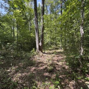 Photo #7 of BAMBI CT, BEAVERDAM, VA 10.1 acres