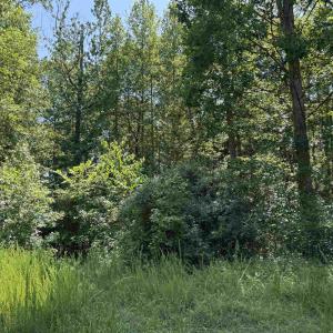 Photo #1 of BAMBI CT, BEAVERDAM, VA 10.1 acres