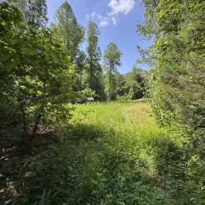 Photo #3 of BAMBI CT, BEAVERDAM, VA 10.1 acres