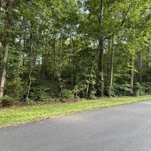 Photo #5 of TBD ELLIS DR, LOUISA, VA 0.3 acres