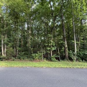 Photo #6 of TBD ELLIS DR, LOUISA, VA 0.3 acres