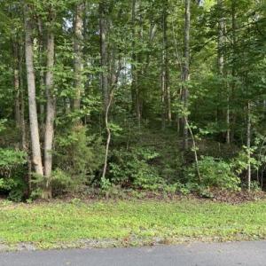 Photo #1 of TBD ELLIS DR, LOUISA, VA 0.3 acres