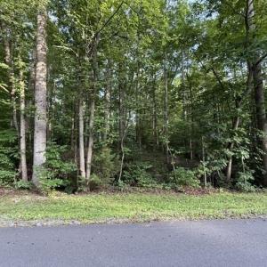 Photo #3 of TBD ELLIS DR, LOUISA, VA 0.3 acres